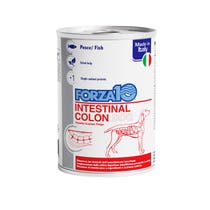 Forza10 Actiwet Intestinal Colon Cibo Umido Cani Adulti Barattolo 390g-2