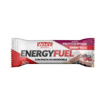 Why Sport Energy Fuel Barretta Gusto Frutti Di Bosco 30g-2