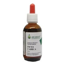 Arcangea Ficus Carica Bio 33 Gradi Gemmoderivato 100ml-2