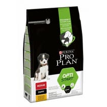 PP DD M PUP HEALTHY 12KG-2