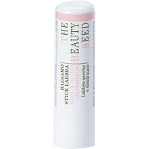 Bioearth Balsamo Stick Labbra Aloe E Acido Ialuronico 1 Pezzo-1