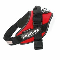 JULIUS K9 IDC Powerharness pettorina per cani colore rosso taglia 2
