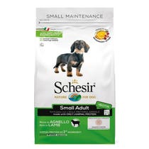 SCHESIR DRY SMALL AGNELLO 2KG-1