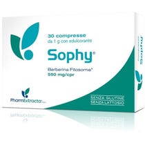 Sophy 30 Compresse-1