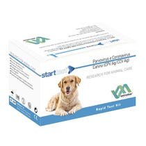 STARTTEST PARVOVIRUS CORON CAN-1
