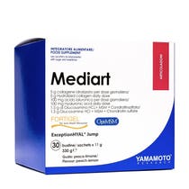 Yamamoto Research Mediart 30 Bustine