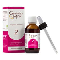 Gemme Di Micol Soluzione Idrogliceralcolica 2 30ml