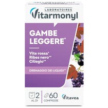 Vitarmonyl Gambe Leggere 60 Compresse-1