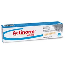 Actinorm Pasta Gatti 65g - 2
