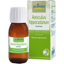 Boiron Aesculus Hippocast 60ml Tintura Madre-1