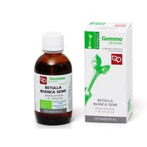 Betulla Verrucosa Semi 50ml - 2