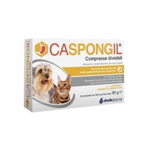 Caspongil 30 Compresse Divisibili - 1