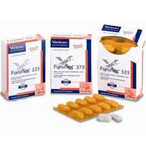 Fortiflex cpr 525mg - 1