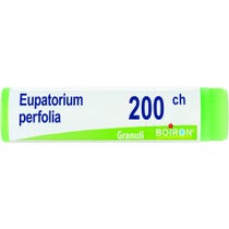 Boiron Eupatorium Perfoliatum Globuli 200Ch Dose 1g - 1