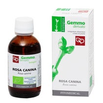 Rosa Canina Macerato Glicerinato Bio 50ml - 1