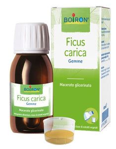 Ficus Carica Macerato Glicerico 60ml - 1
