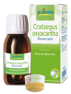 Crataegus Oxyacantha Macerato Glicerico 60ml - 1