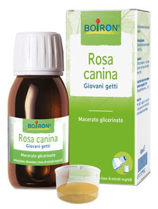 Rosa Canina Macerato Glicerico 60ml - 1