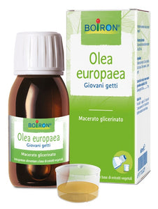 Olea Europaea Macerato Glicerico 60ml - 1