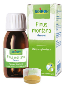 Pinus Montana Macerato Glicerico 60ml - 1