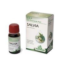 Salvia Foglie Olio Essenziale Puro 10ml - 2