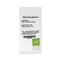 Ulmus Campestri Macerato Glicerico Gocce 100ml - 1
