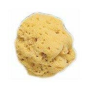 Spugna Naturale Fori Larghi 8/9cm 1 Pezzo - 2