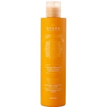 Gyada Hyalurvedic Shampoo Riflessante Gold Hair 200ml - 1