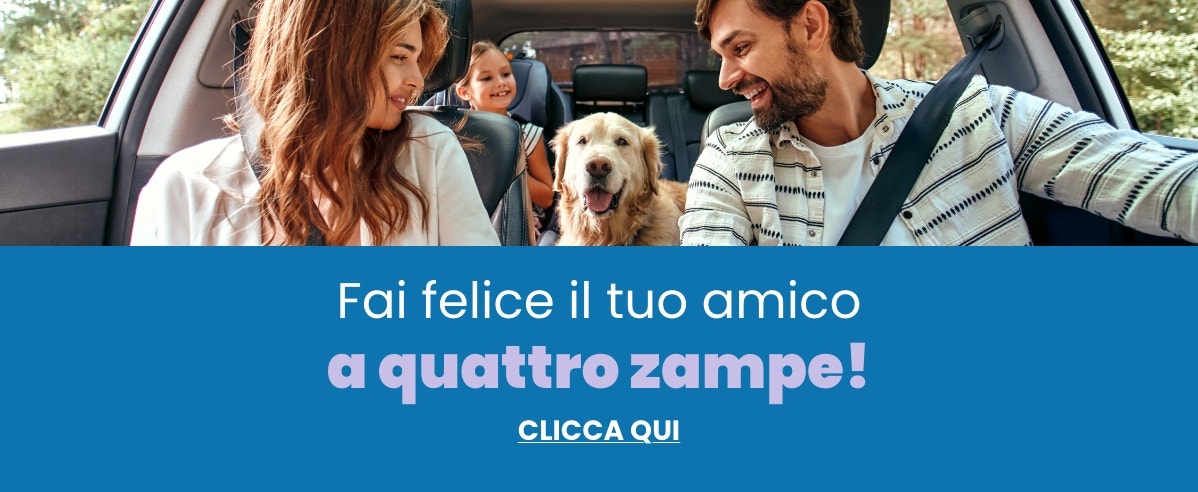 animali