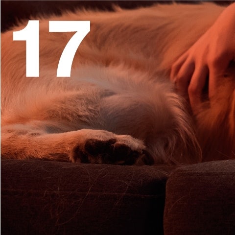 Il calendario dell'avvento - prodotto giorno 17